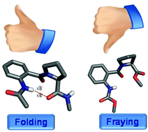 Graphical abstract: Ester vs. amide on folding: a case study with a 2-residue synthetic peptide