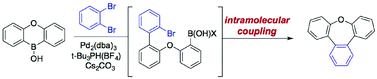 Graphical abstract: Synthesis of benzannulated heterocycles by twofold Suzuki–Miyaura couplings of cyclic diarylborinic acids