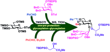 Graphical abstract: Regioselective one-pot protection, protection–glycosylation and protection–glycosylation–glycosylation of carbohydrates: a case study with d-glucose