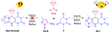 Graphical abstract: Catalytic regioselective synthesis of pyrazole based pyrido[2,3-d]pyrimidine-diones and their biological evaluation