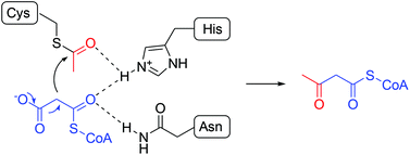 Graphical abstract: Catalytic enantioselective decarboxylative reactions using organocatalysts