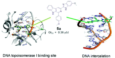 Graphical abstract: Synthesis of β-carboline–benzimidazole conjugates using lanthanum nitrate as a catalyst and their biological evaluation