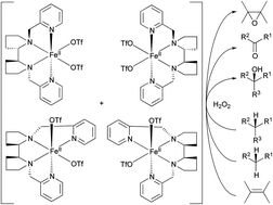 Graphical abstract: Making Fe(BPBP)-catalyzed C–H and C [[double bond, length as m-dash]] C oxidations more affordable