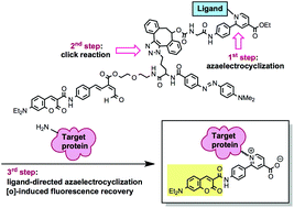 Graphical abstract: A cascading reaction sequence involving ligand-directed azaelectrocyclization and autooxidation-induced fluorescence recovery enables visualization of target proteins on the surfaces of live cells