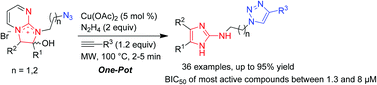 Graphical abstract: Microwave-assisted one-pot synthesis and anti-biofilm activity of 2-amino-1H-imidazole/triazole conjugates