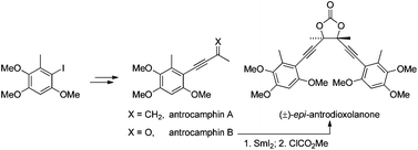 Graphical abstract: Ethynylbenzenoid metabolites of Antrodia camphorata: synthesis and inhibition of TNF expression