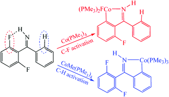 Graphical abstract: Computational rationalization of the selective C–H and C–F activations of fluoroaromatic imines and ketones by cobalt complexes