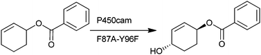 Graphical abstract: Selective aliphatic carbon–hydrogen bond activation of protected alcohol substrates by cytochrome P450 enzymes