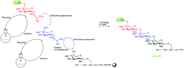 Graphical abstract: A new approach for the synthesis of O-glycopeptides through a combination of solid-phase glycosylation and fluorous tagging chemistry (SHGPFT)