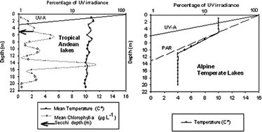 Graphical abstract: Tropical high-altitude Andean lakes located above the tree line attenuate UV-A radiation more strongly than typical temperate alpine lakes