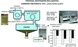 Graphical abstract: Inactivation of Enterococcus faecalis, Pseudomonas aeruginosa and Escherichia coli present in treated urban wastewater by coagulation–flocculation and photo-Fenton processes