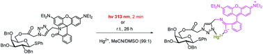Graphical abstract: Hg2+-promoted photoactivation of triazolyl rhodamine