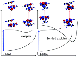 Graphical abstract: Exciplexes and conical intersections lead to fluorescence quenching in π-stacked dimers of 2-aminopurine with natural purine nucleobases