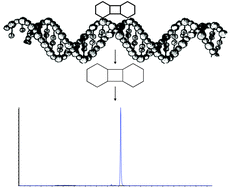 Graphical abstract: The variety of UV-induced pyrimidine dimeric photoproducts in DNA as shown by chromatographic quantification methods