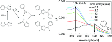 Graphical abstract: Photochemical formation of thiirene and thioketene in 1,2,3-thiadiazoles with phenyl substituents studied by time-resolved spectroscopy