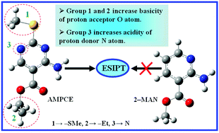 Graphical abstract: Functional group induced excited state intramolecular proton transfer process in 4-amino-2-methylsulfanyl-pyrimidine-5-carboxylic acid ethyl ester: a combined spectroscopic and density functional theory study