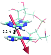 Graphical abstract: Electronic excitation and structural relaxation of the adenine dinucleotide in gas phase and solution