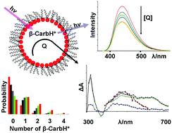 Graphical abstract: Fluorescence quenching of protonated β-carbolines in water and microemulsions: evidence for heavy-atom and electron-transfer mechanisms