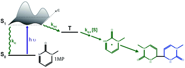 Graphical abstract: Strong impact of the solvent on the photokinetics of a 2(1H)-pyrimidinone