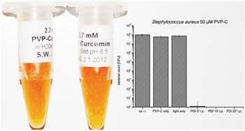 Graphical abstract: Back to the roots: photodynamic inactivation of bacteria based on water-soluble curcumin bound to polyvinylpyrrolidone as a photosensitizer