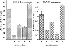 Graphical abstract: Degradation of two fluoroquinolone antibiotics photoinduced by Fe(iii)-microalgae suspension in an aqueous solution