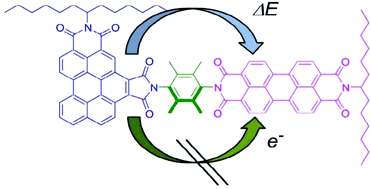 Graphical abstract: Photoinduced processes in a dyad made of a linear and an angular perylene bisimide