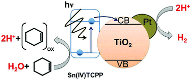 Graphical abstract: Hydrogen evolution coupled with the photochemical oxygenation of cyclohexene with water sensitized by tin(iv) porphyrins by visible light