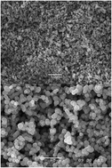 Graphical abstract: Porphyrin–silica microparticle conjugates as an efficient tool for the photosensitised disinfection of water contaminated by bacterial pathogens