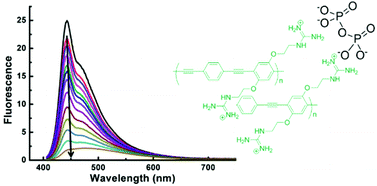 Graphical abstract: Conjugated polyelectrolytes with guanidinium side groups. Synthesis, photophysics and pyrophosphate sensing