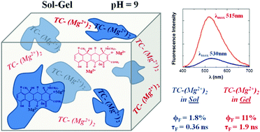 Graphical abstract: Effect of micellar and sol–gel media on the spectral and kinetic properties of tetracycline and its complexes with Mg2+