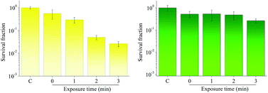 Graphical abstract: Effects of ionic strength on the antimicrobial photodynamic efficiency of methylene blue