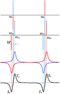 Graphical abstract: TREPR spectra of micelle-confined spin correlated radical pairs: I. Molecular motion and simulations