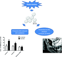 Graphical abstract: Penetration, photo-reactivity and photoprotective properties of nanosized ZnO