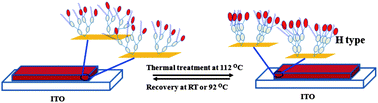 Graphical abstract: Orderly arranged NLO materials on exfoliated layered templates based on dendrons with alternating moieties at the periphery