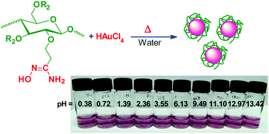 Graphical abstract: Synthesis of amidoxime functionalized cellulose derivatives as a reducing agent and stabilizer for preparing gold nanoparticles