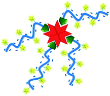 Graphical abstract: Biotin-end-functionalized highly fluorescent water-soluble polymers