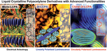 Graphical abstract: Liquid crystalline polyacetylene derivatives with advanced electrical and optical properties