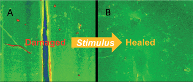 Graphical abstract: Healable supramolecular polymers