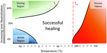 Graphical abstract: Effect of ionic content on ballistic self-healing in EMAA copolymers and ionomers