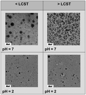 Graphical abstract: Dual responsive micelles based on poly[(R)-3-hydroxybutyrate] and poly(2-(di-methylamino)ethyl methacrylate) for effective doxorubicin delivery