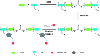 Graphical abstract: Synthesis of polymers with phosphorus containing side chains via modular conjugation