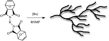 Graphical abstract: Nucleophilic thiol-Michael chemistry and hyperbranched (co)polymers: synthesis and ring-opening metathesis (co)polymerization of novel difunctional exo-7-oxanorbornenes with in situ inimer formation