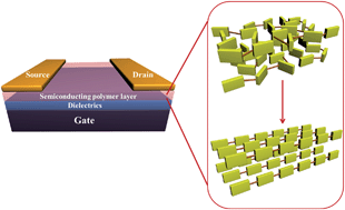 Graphical abstract: Ordering of conjugated polymer molecules: recent advances and perspectives