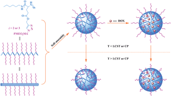 Graphical abstract: Thermo-responsive “hairy-rod” polypeptides for smart antitumor drug delivery