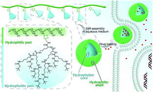 Graphical abstract: Design and self-assembly of amphiphilic peptide dendron-jacketed polysaccharide polymers into available nanomaterials