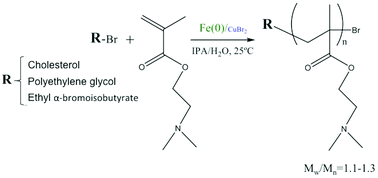 Graphical abstract: Synthesis of well-defined poly(2-(dimethylamino)ethyl methacrylate) under mild conditions and its co-polymers with cholesterol and PEG using Fe(0)/Cu(ii) based SARA ATRP