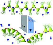 Graphical abstract: Influence of photo-isomerisation on host–guest interactions in poly(azocalix[4]arene)s