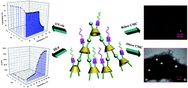 Graphical abstract: A branching point thermo and pH dual-responsive hyperbranched polymer based on poly(N-vinylcaprolactam) and poly(N,N-diethyl aminoethyl methacrylate)