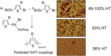 Graphical abstract: Poly(3-alkylthiophene) with tuneable regioregularity: synthesis and self-assembling properties