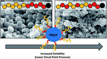 Graphical abstract: Effects of poly(vinyl pivalate)-based stabiliser architecture on CO2-solubility and stabilising ability in dispersion polymerisation of N-vinyl pyrrolidone